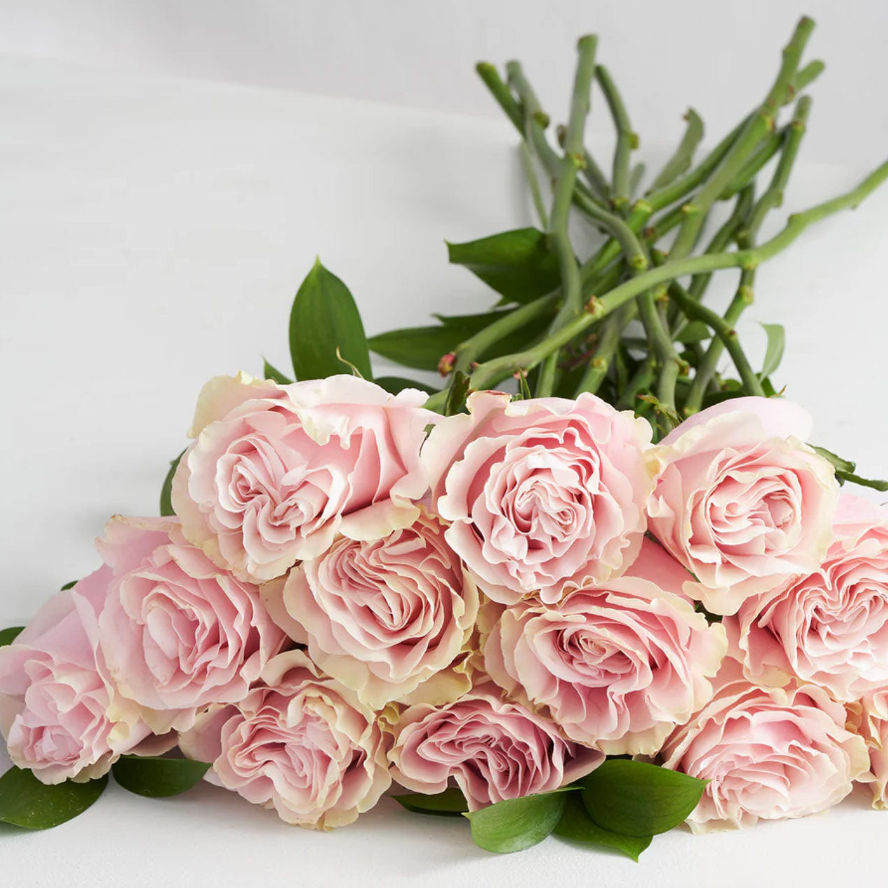 Send roses online – fresh pink roses delivered to your door next day
