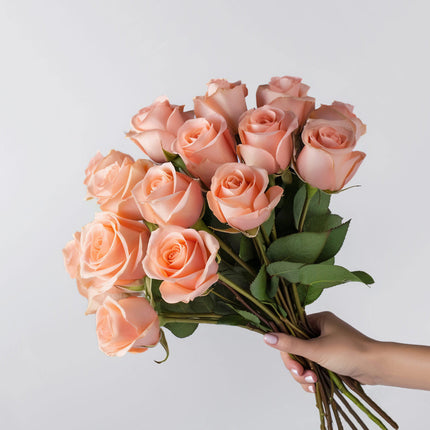 Peach Roses with Next Day Delivery UK