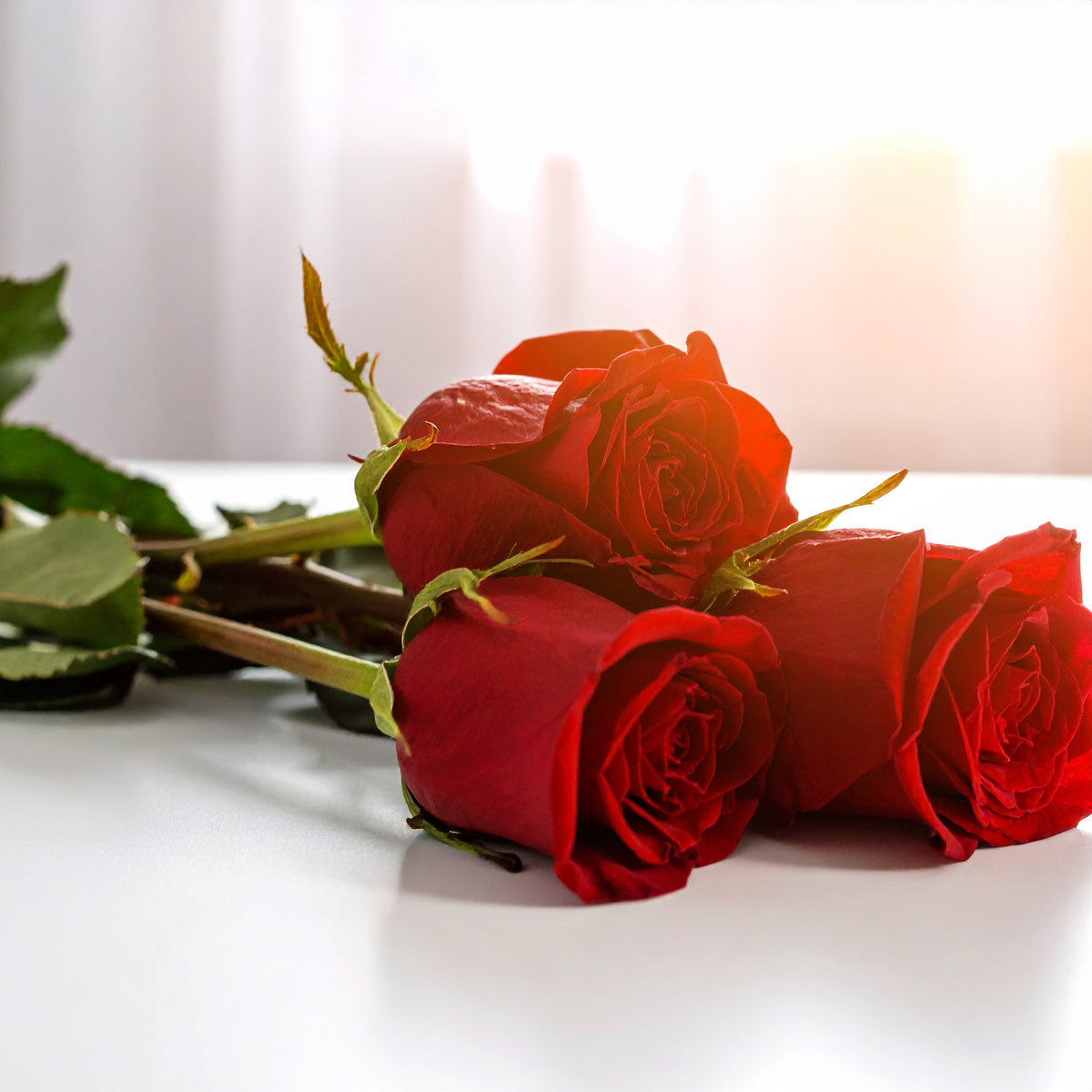 Fresh red roses delivered UK-wide