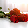 Fresh red roses delivered UK-wide