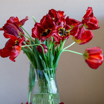 British Tulips Spring Flowers Delivery UK