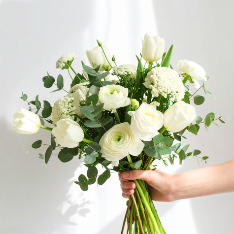 Seasonal White & Green