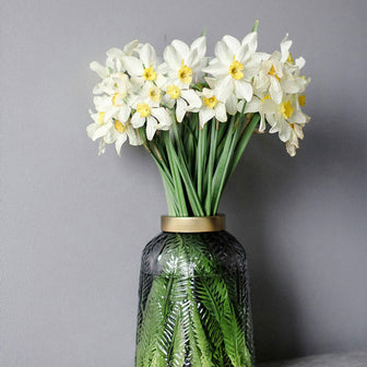 Yellow Daffodils Narcissus Delivery UK