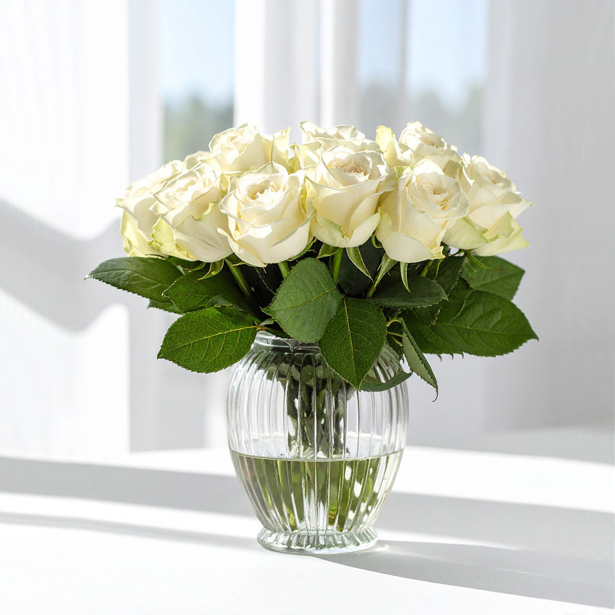 Send white roses online with Free next day delivery