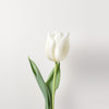 White Tulips Flower Delivery UK