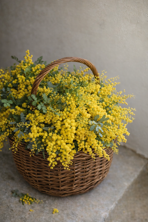 How to Care for Mimosa Flowers | Florist Care Guide – LovFlowers