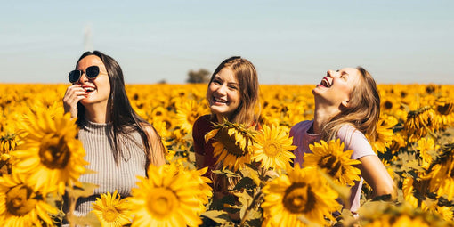 Flowers that symbolise friendship