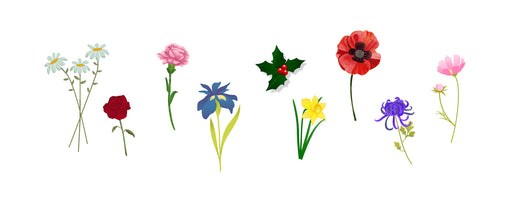 Birth flowers Symbolism Meanings UK