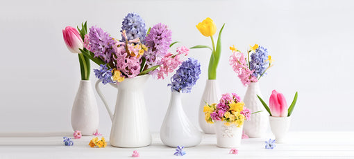 Easter Flowers Meanings Symbolism