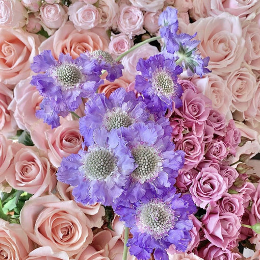 Flower Trends Trendy Floral Design Colours Pastel Scandinavian Letterbox Flowers Bouquet Luxury