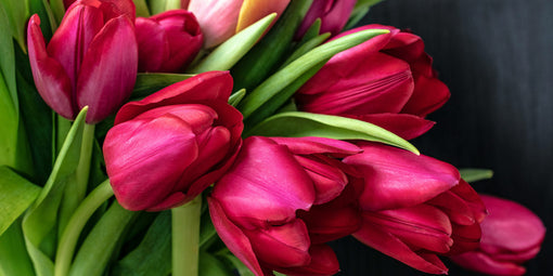 Best Flowers for Mother's Day