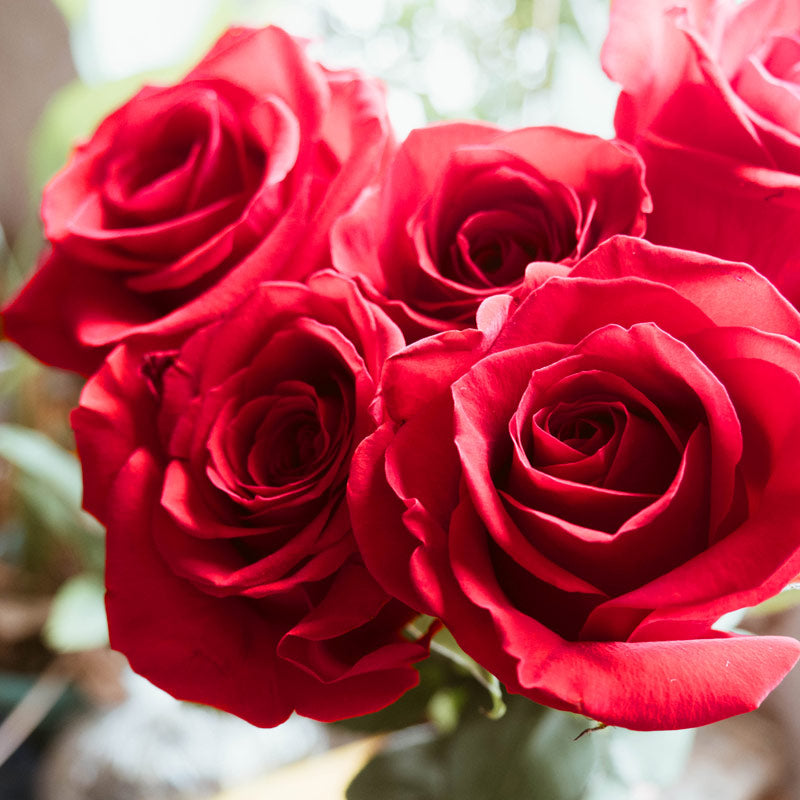 7 Most Romantic Flower For Valentine's Day | LOV Flowers – LÖV Flowers