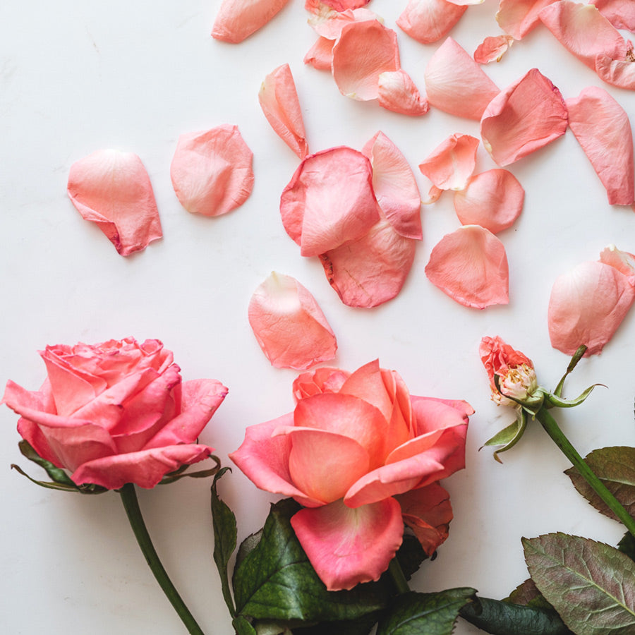 How To Revive Wilted Flowers LOV Flowers LÖV Flowers