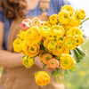 Spring Flowers Ranunculus  UK Letterbox Flowers Same Day Free Next Day Delivery