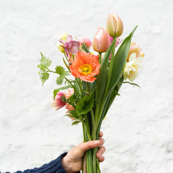 Flower bouquet with orange poppies and tulips