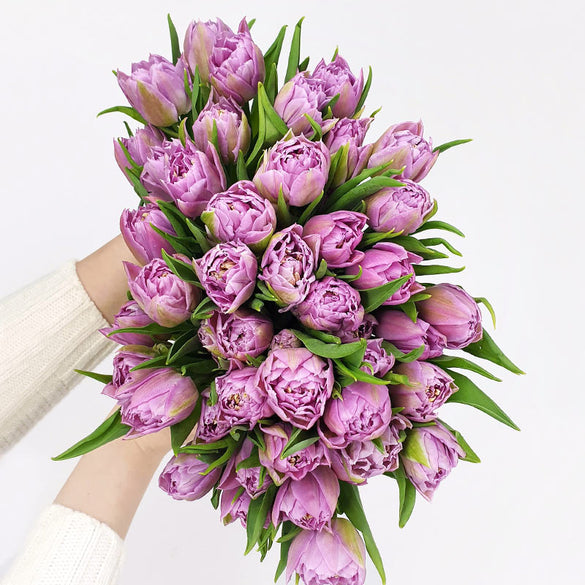Seasonal purple tulip flower bouquet