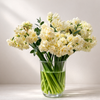 British Grown White Narcissus (Erlicheers)