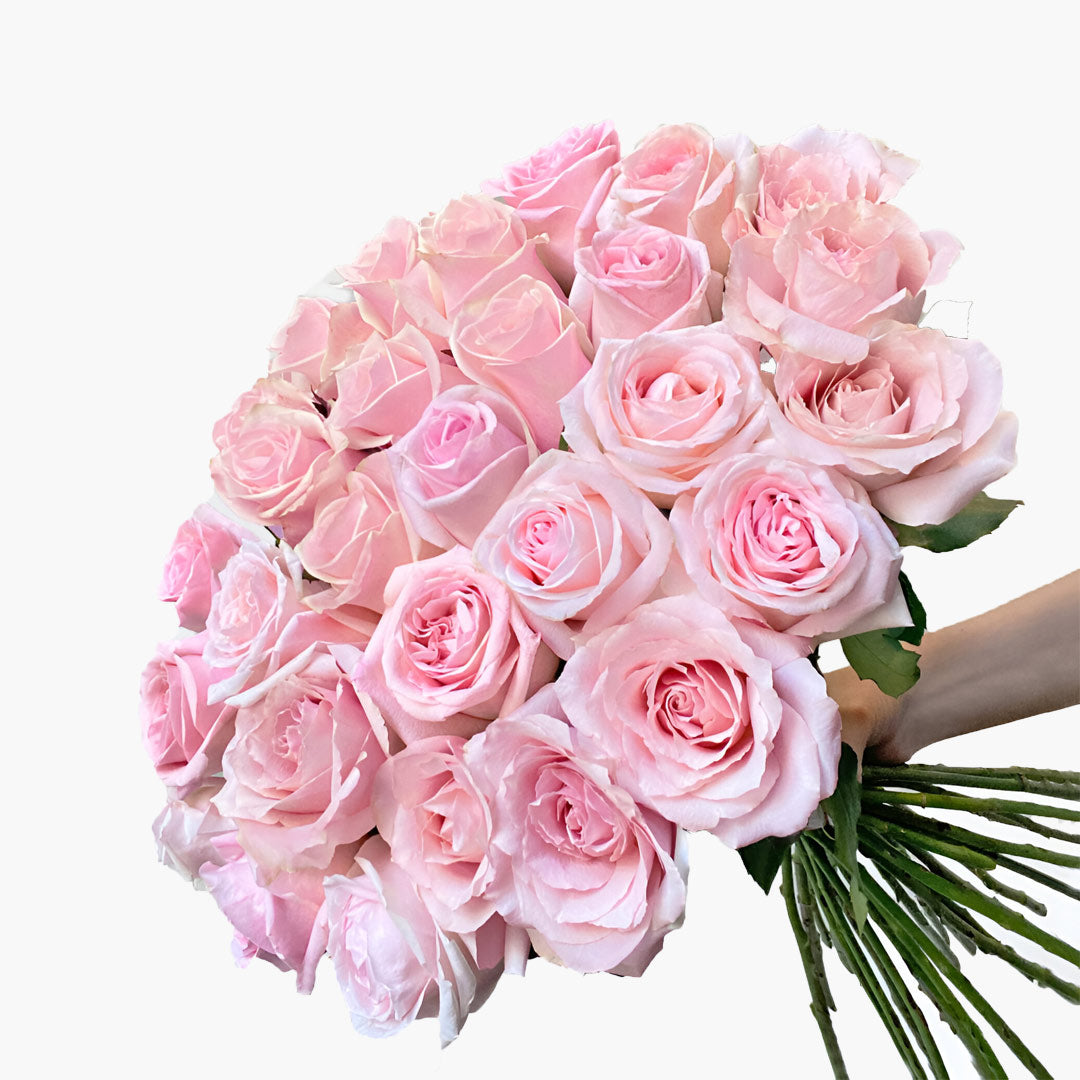30 Light Pink Avalanche Roses UK Flower Delivery 