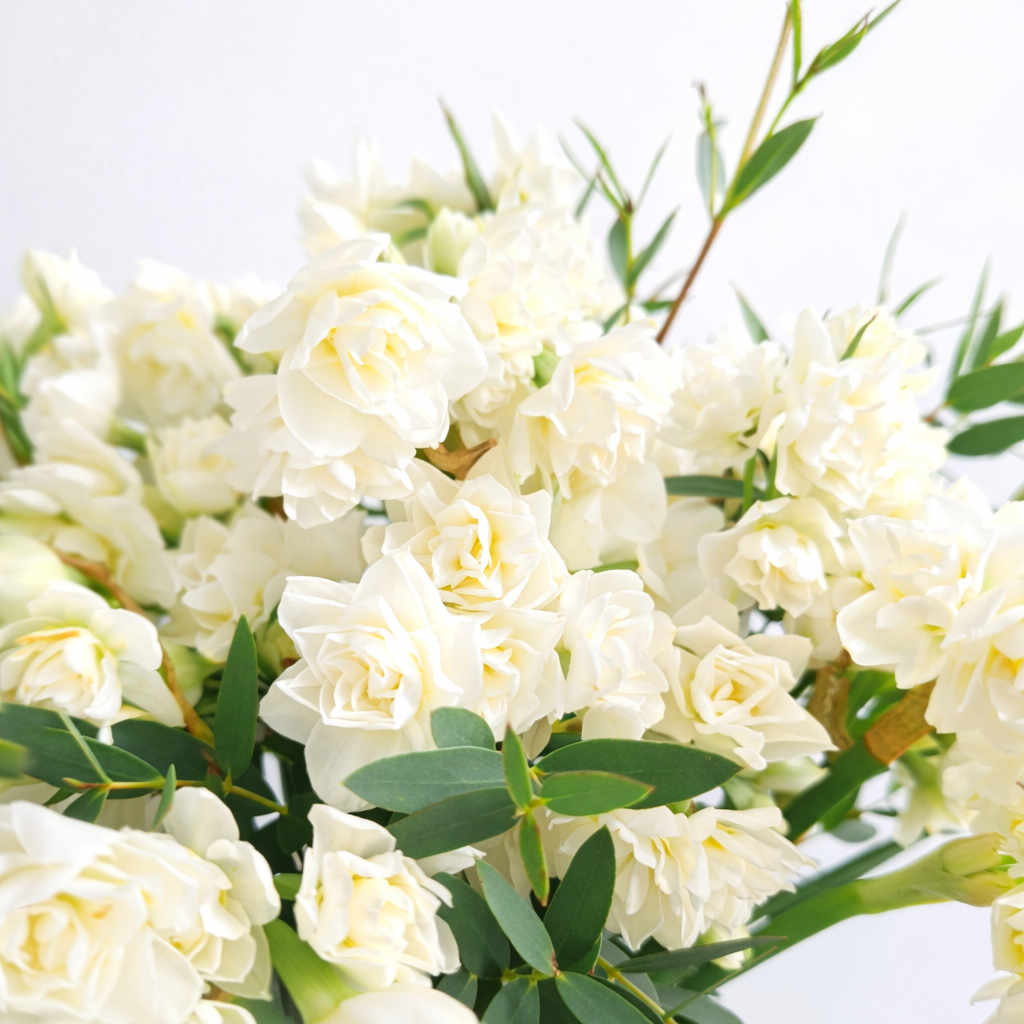 British Grown White Narcissus (Erlicheers)