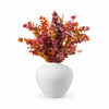 Autumn Mix Preserved Eucalyptus