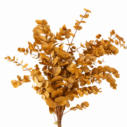 Yellow Preserved Eucalyptus Bunch