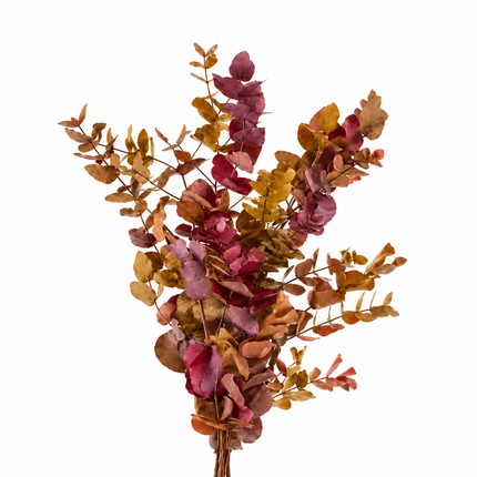 Autumn Mix Preserved Eucalyptus