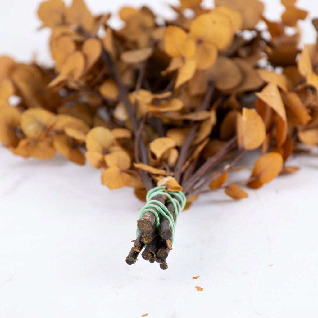 Yellow Preserved Eucalyptus Bunch
