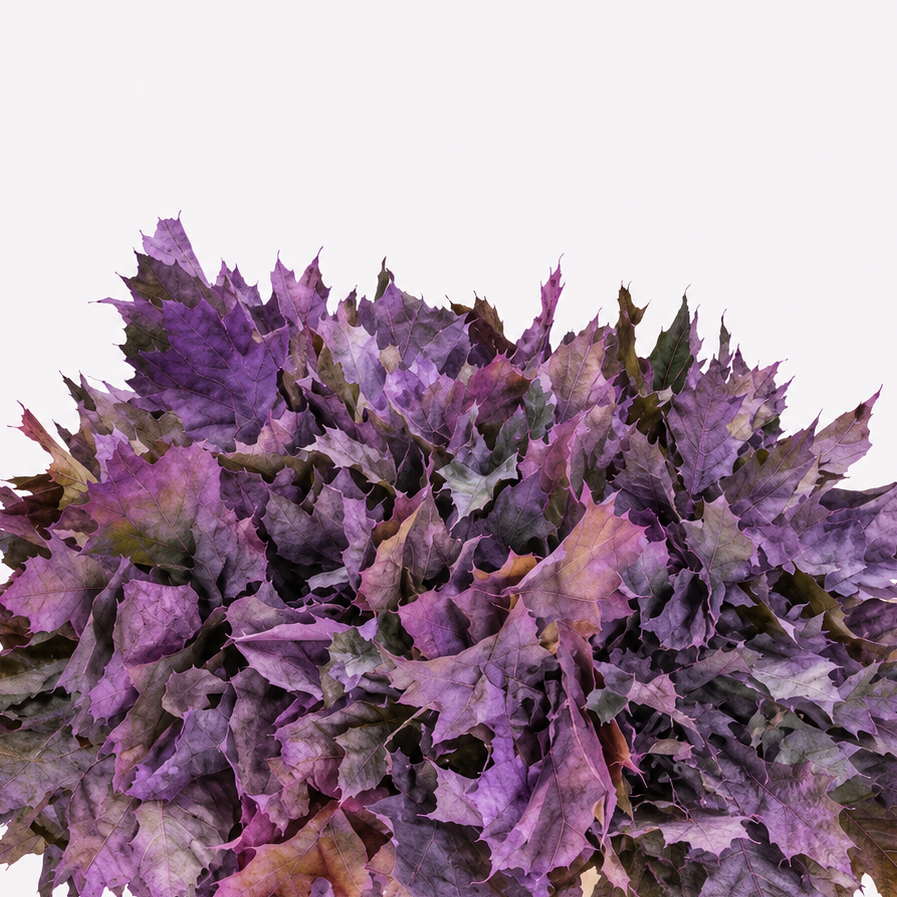 A dense cluster of ornamental foliage with rich purple, violet, and burgundy leaves, presented in a light beige rectangular planter against a clean white background.