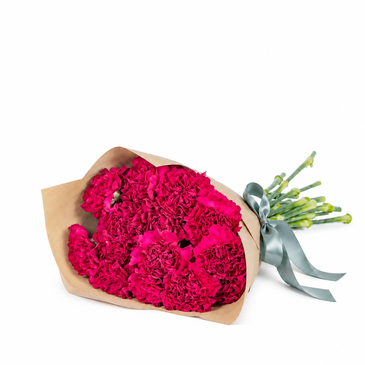 Carnations - Hot pink