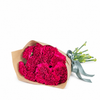 Carnations - Hot pink