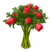 British Grown Red Anemones