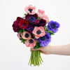 The Jewel – British Grown Anemone Letterbox