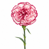 Carnation Kilim