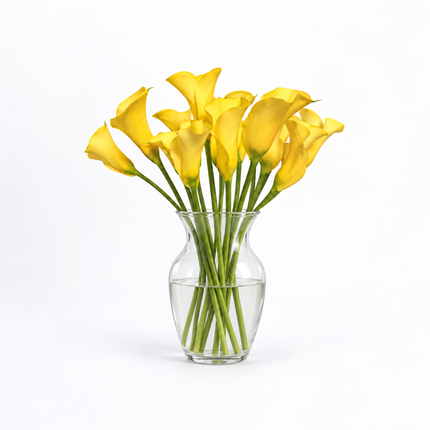 Yellow Calla Lilies – Sunny Art
