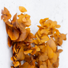Handmade Yellow Eucalyptus Wreath