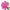Bright Pink Roses Letterbox Flowers - LOV Flowers