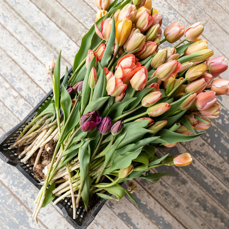 british flower bouquets