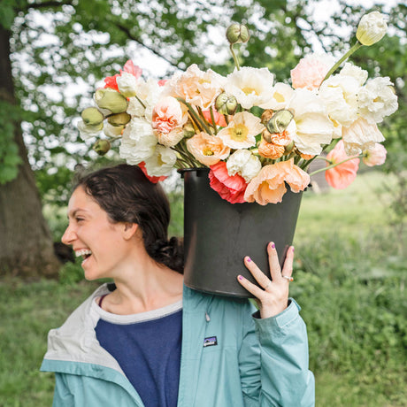 British grown flowers cultivated with passion in a sustainable way from english farmers