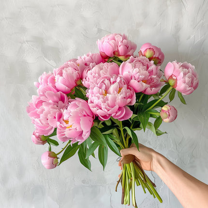 British Pink Peonies Peony Free Next Day Delivery UK