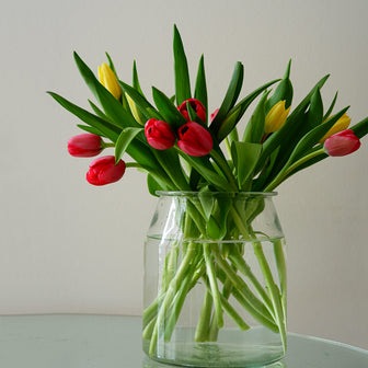 British tulips next day delivery