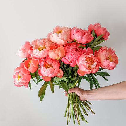 Coral British Peonies Peony Next Day Delivery UK