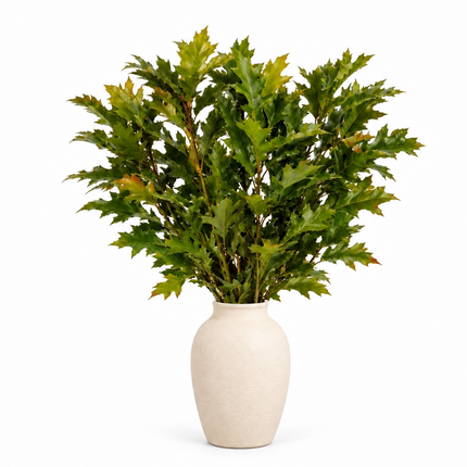 A green leafy plant arrangement in a matte off-white ceramic vase, photographed against a seamless white background.