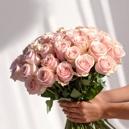 Light blush pink Mondial roses bouquet, free next day delivery