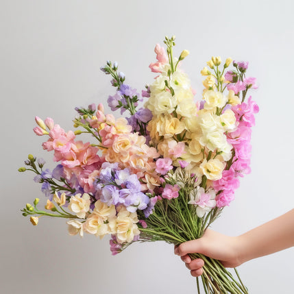 Mixed Pastel Stock British Grown Flowers