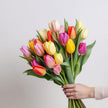 Colourful Tulips Next Day Delivery UK
