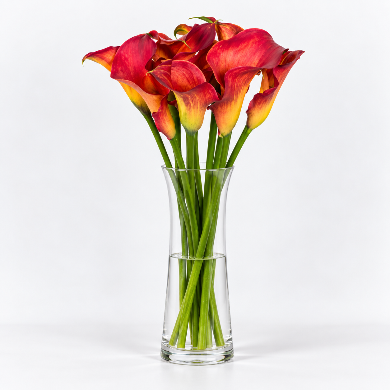 Orange Calla Lilies – Captain Trinity
