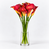 Orange Calla Lilies – Captain Trinity