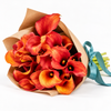 Orange Calla Lilies – Captain Trinity
