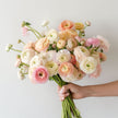 Pastel Ranunculus British Grown Flowers Next Day Delivery UK