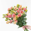 Peach Pink Coral Lisianthus Bouquet UK Delivery